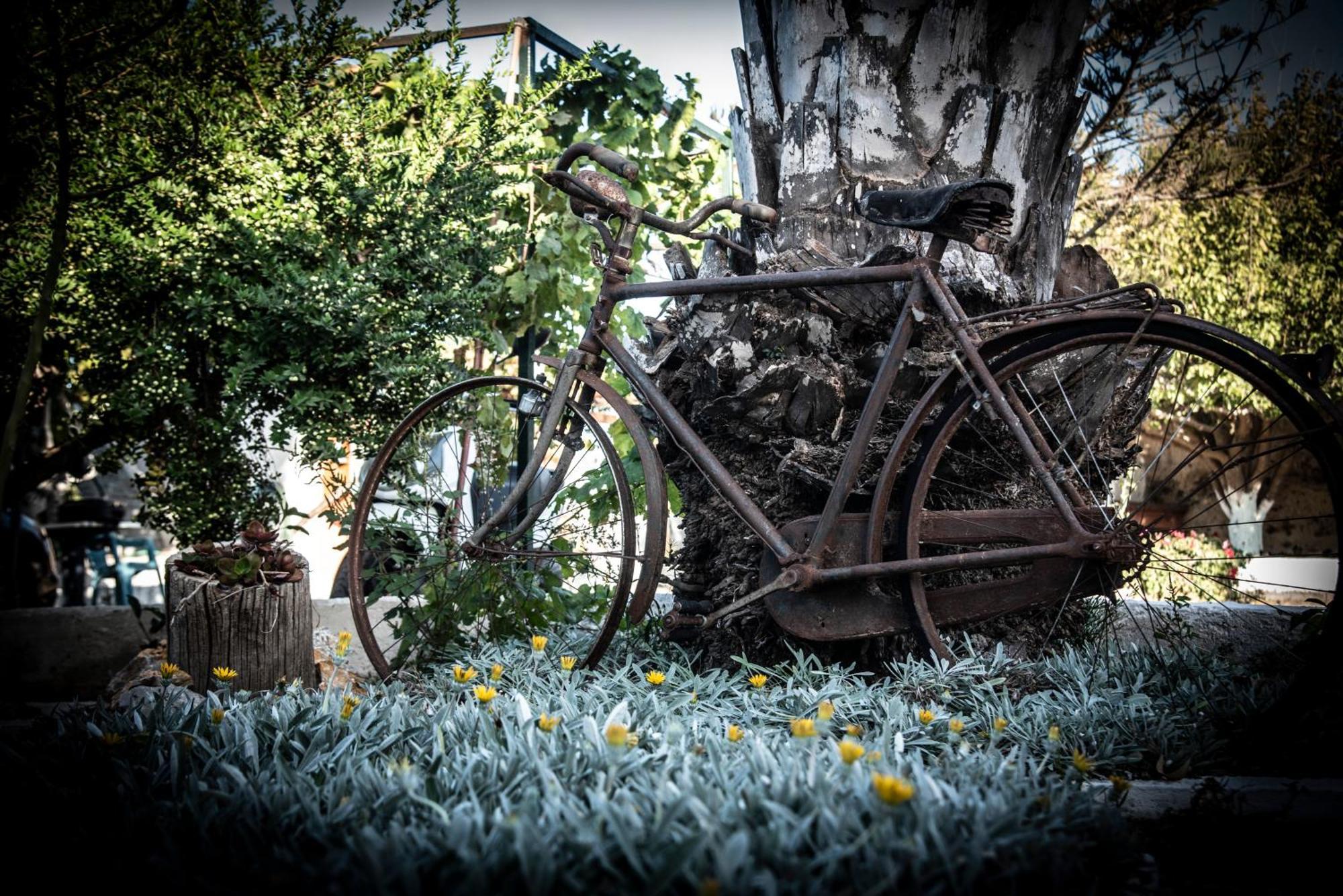 Nikos Studios Kéfalos Exterior foto